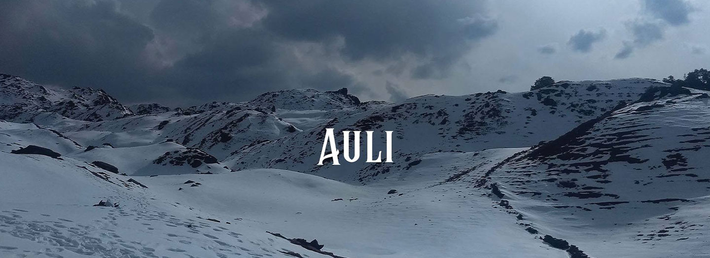 dehradun to auli tour by innova crysta car